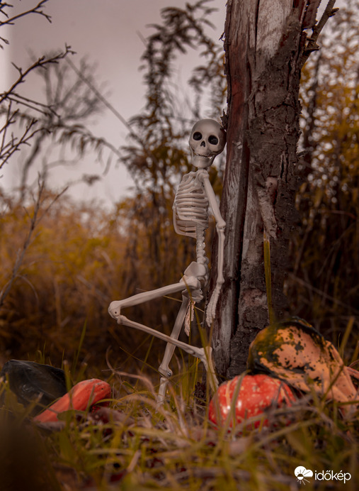 Pózoljunk tökösen  :D