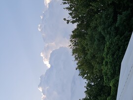 Halásztelek