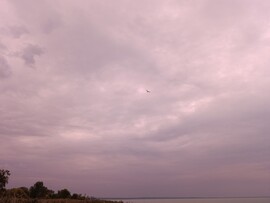 Balatonkenese