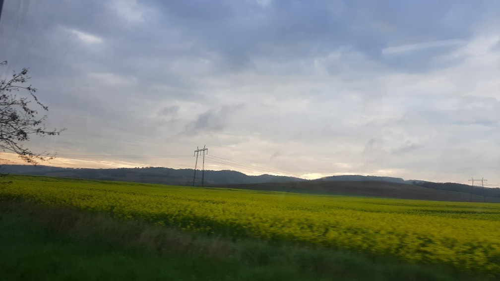Pincehely