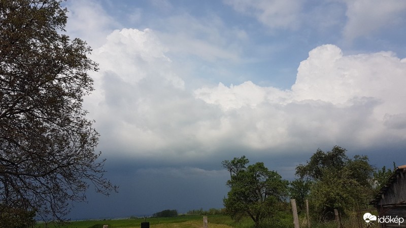 Észlelési fényképek