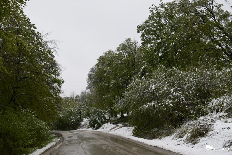 Észlelési fényképek