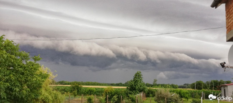 Észlelési fényképek