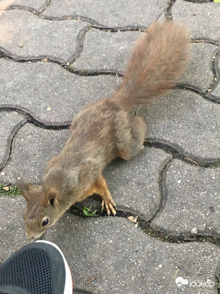 Hello, az a cipōm :)