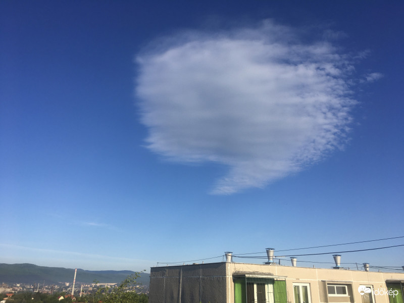 Ma reggeli “ egyke “