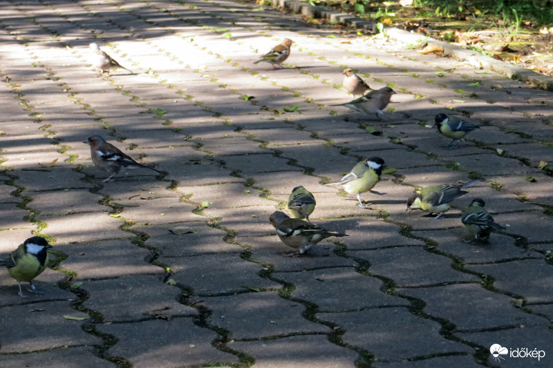 Egyenlő esélyek :) 