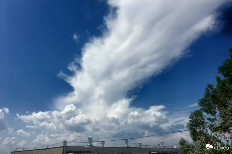 Mai érdekesség délután 