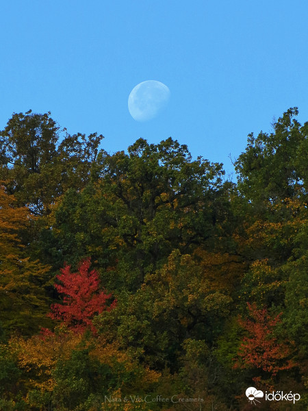 Októberi holdnyugta 