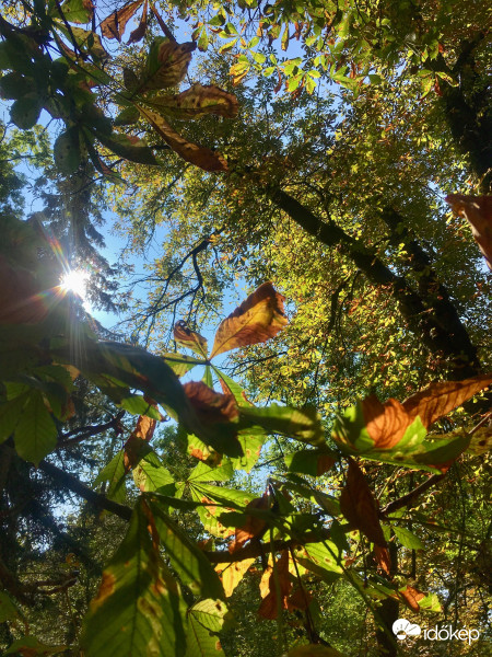 Itt -ott már alakul