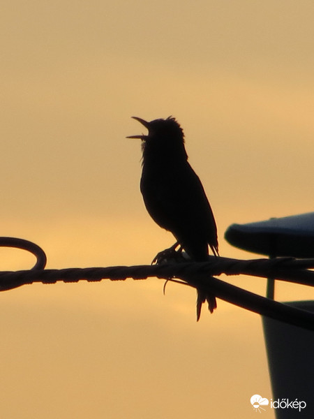 Egy utolsó strófa még, aztán mára ennyi volt
