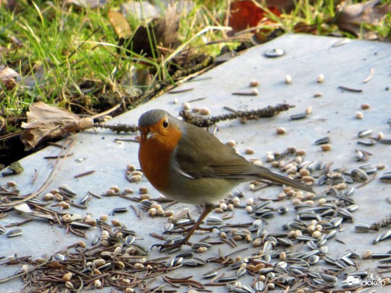 Terülj terülj asztalkám :) 