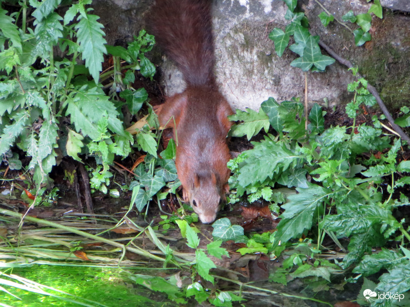 Nekik is melegük van 