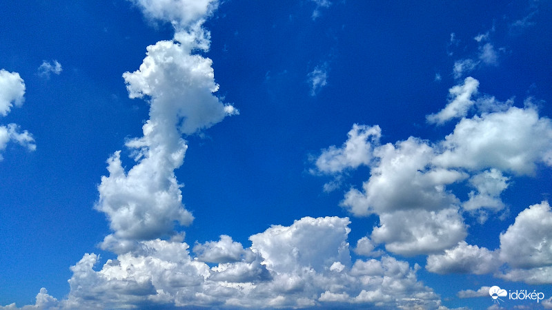 A kis feltörekvő :-)