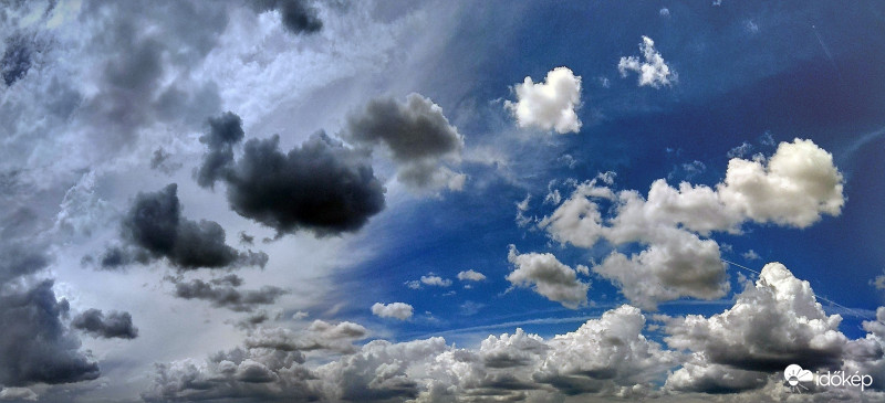 Sötétebb, világosabb pamacsok, két fotóból összeillesztve :-)