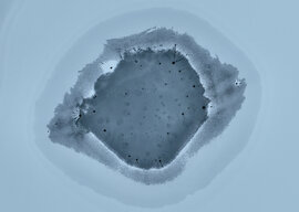 Fraktálok a Naplás-tavon (1)