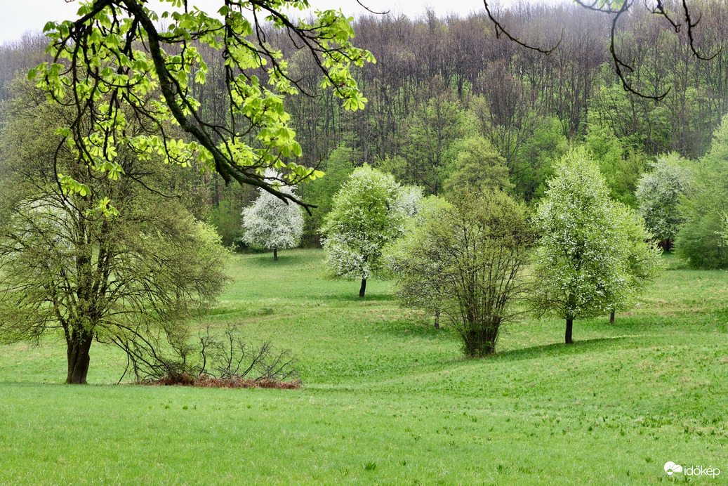 Ilona-völgy