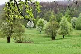Ilona-völgy