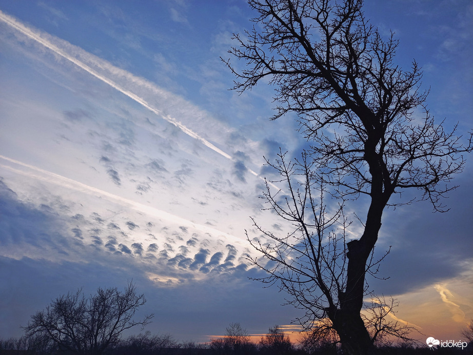 Valamiért megtetszett...