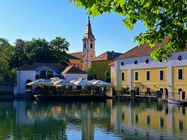 Tapolcai "nyár"