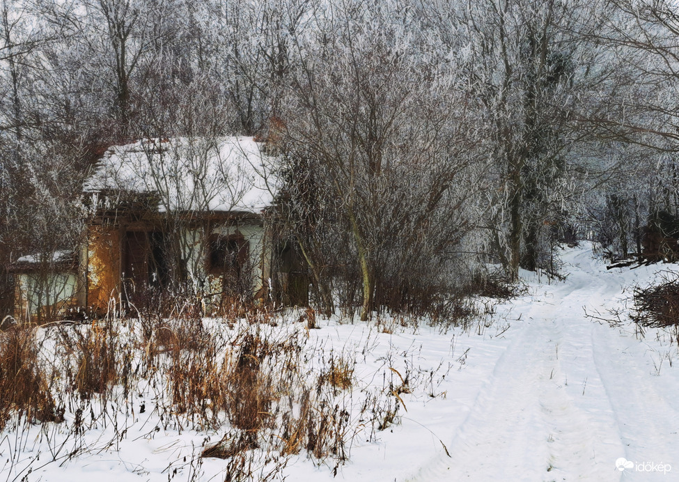 Téli csend(élet) Zalában