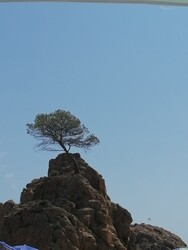 Tossa de Mar