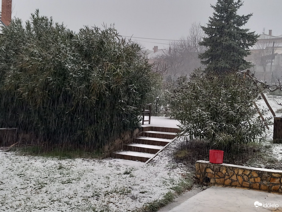 Észlelési fényképek