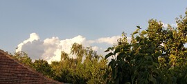 Sződliget