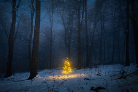 Ünnepi hangulat Dobogókőn