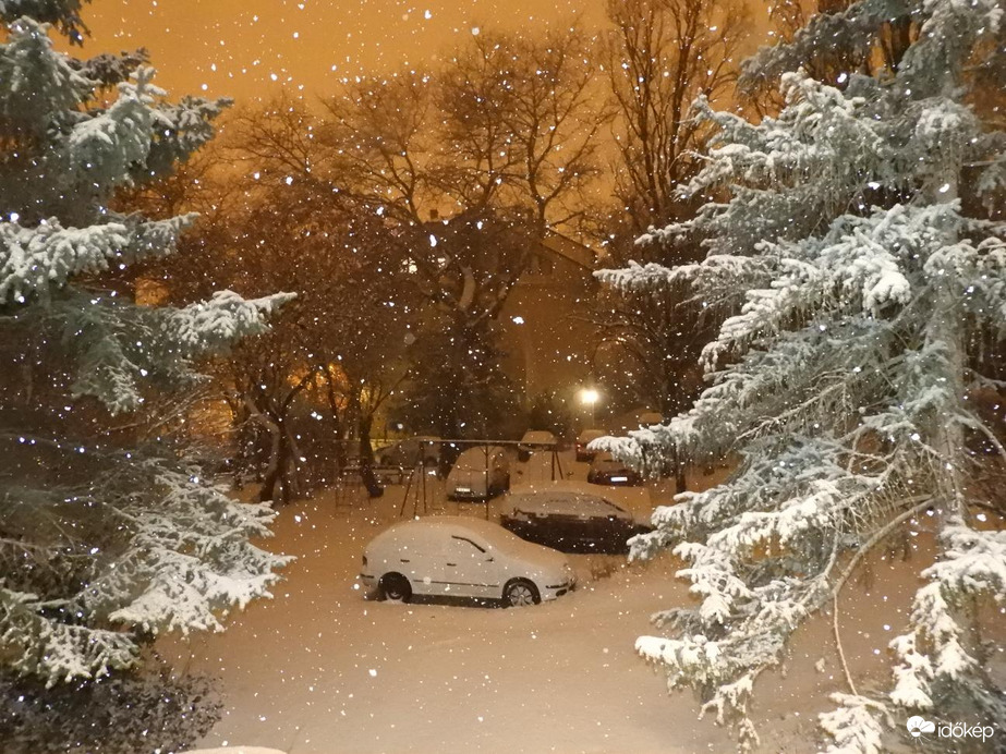 Észlelési fényképek