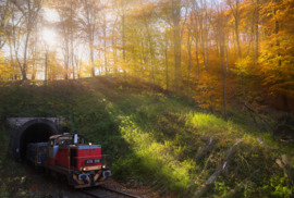 Őszi fényekbe érkezés…