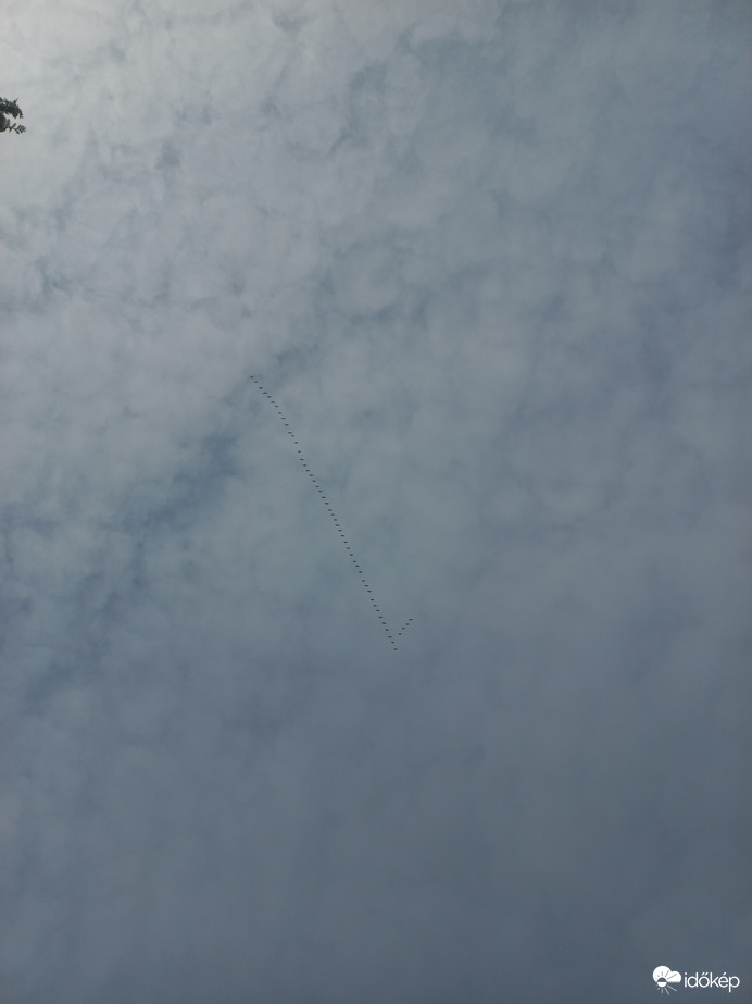 Észlelési fényképek