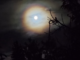 Szivárvány a Hold körül