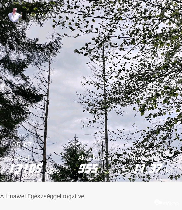 Észlelési fényképek