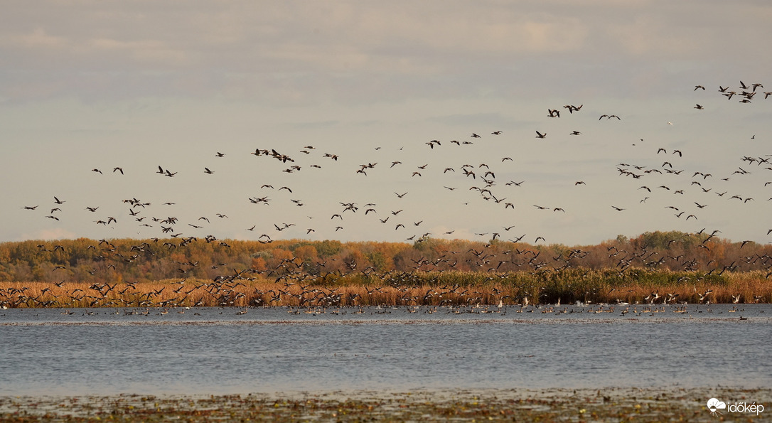 Kirepülők szépséges hada