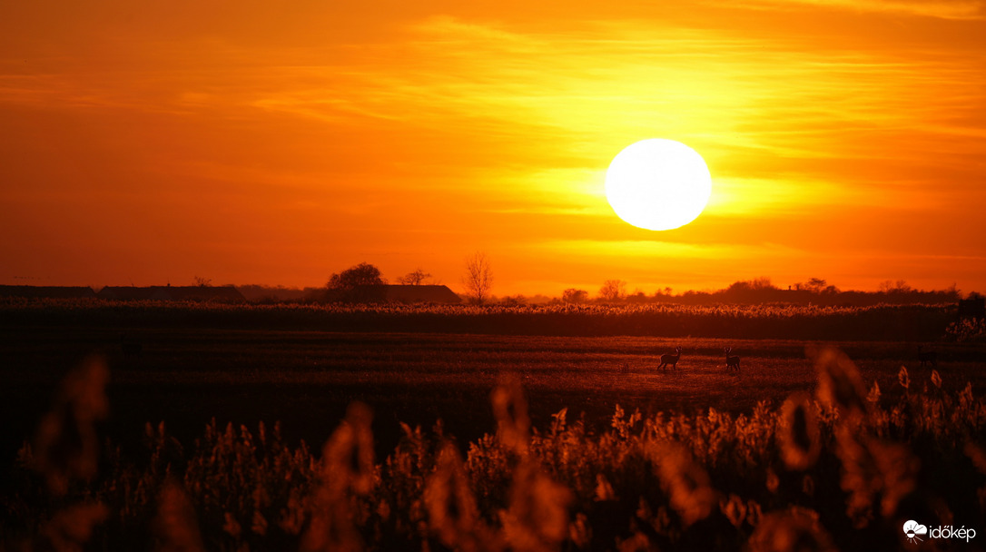 Alkonyati napfürdőzők