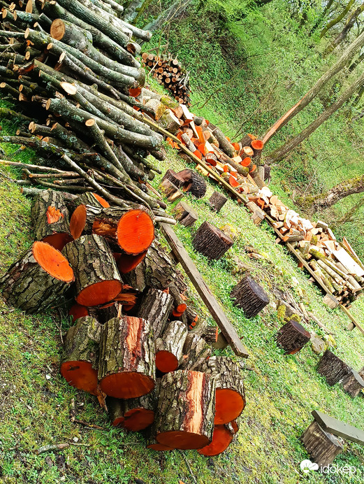 Ökofalu, közelmúltbeli viharok után