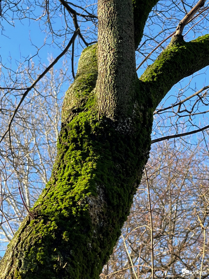 Pár hete még ilyen volt..