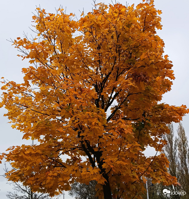 Tatabánya 