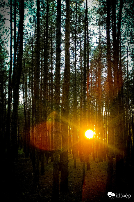 Észlelési fényképek