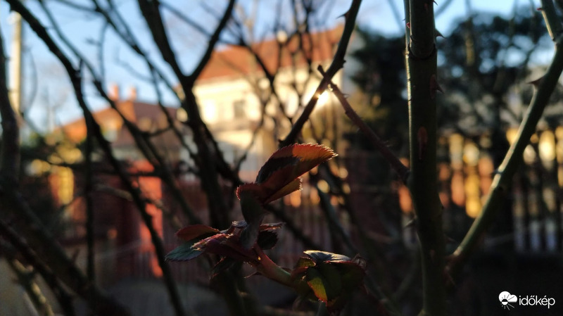 Február utolsó napján