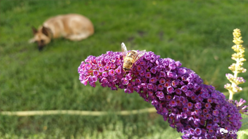 Reggeli munka, avagy pihenés? :D