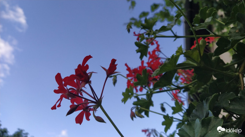 Jó reggelt Mindenkinek! :)