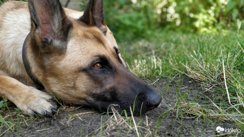 Szép délutánt Mindenkinek! :)