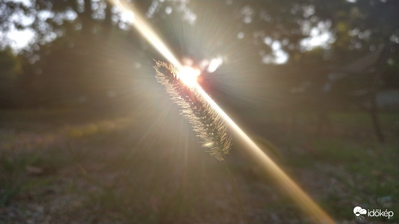 Naplementi ragyogás - 2