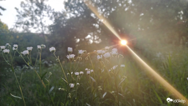 Naplementi ragyogás - 4