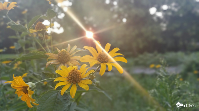 Naplementi ragyogás - 3