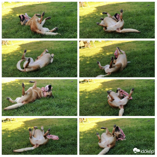 Egy vidám délután :)