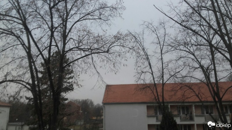 Ajka