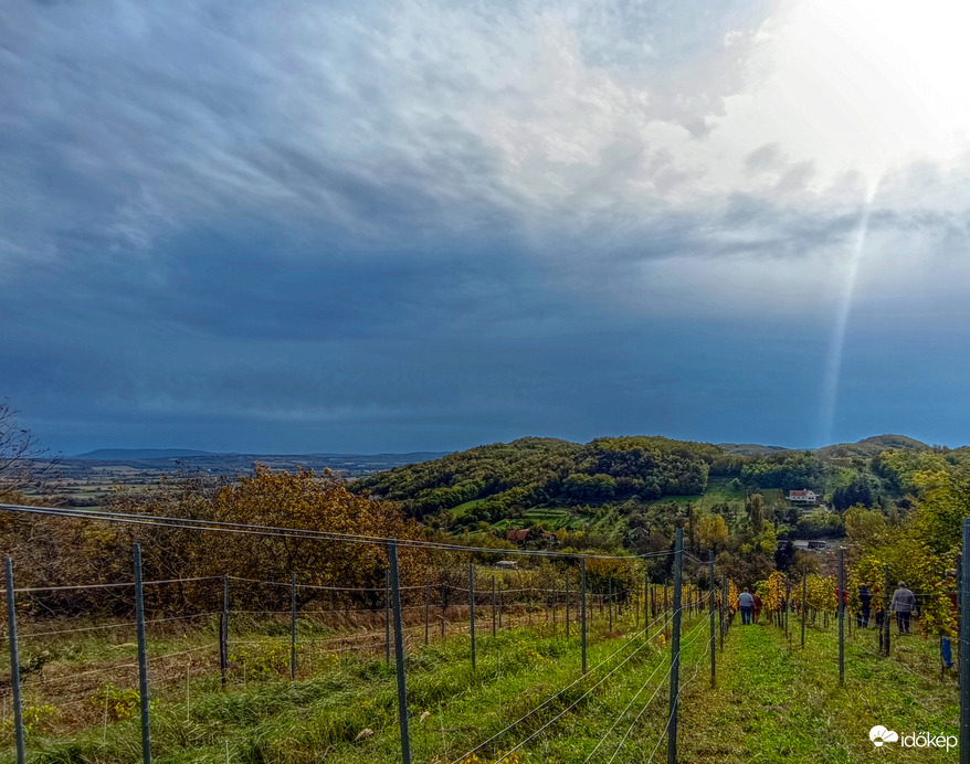 Észlelési fényképek