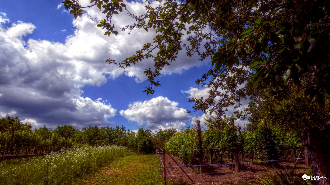 Észlelési fényképek